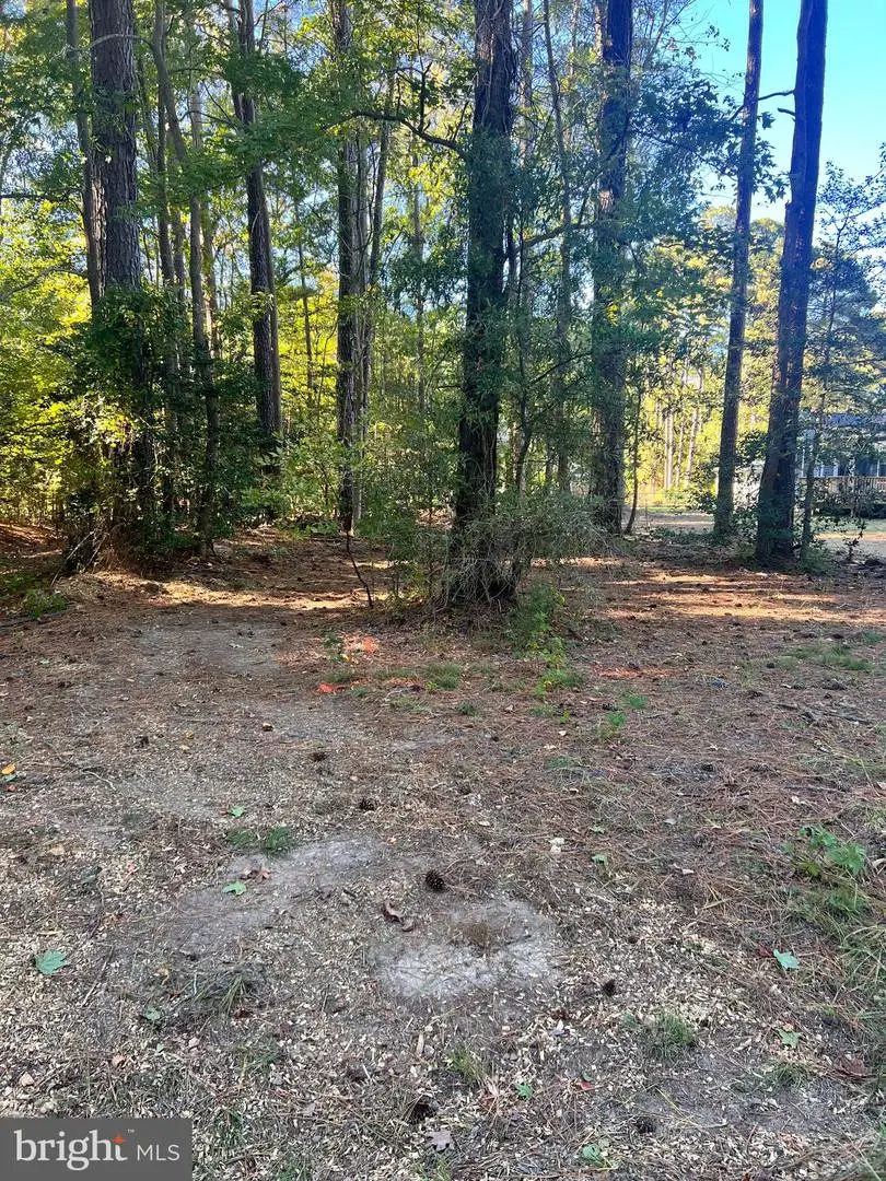 26 Harbor Ct, Montross, VA 22520 - Image #2