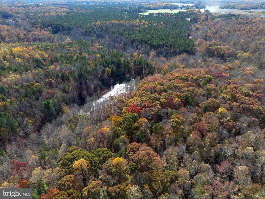 00 Menokin Rd, Montross, VA 22520 - Image #3