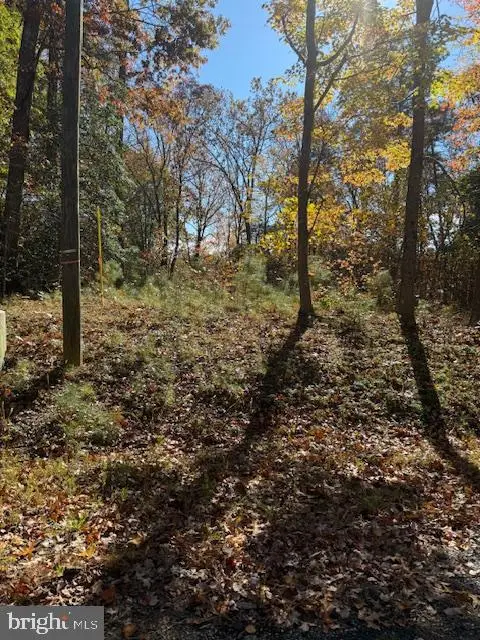 30 Arthur, Montross, VA 22520 - Image #2