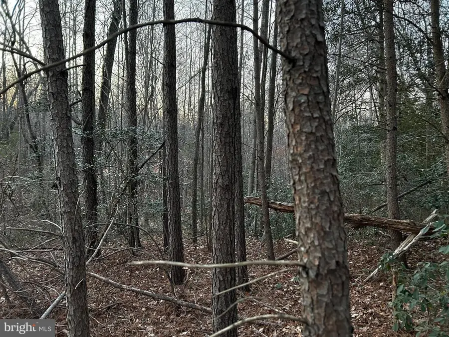 0 Pratts Place, Montross, VA 22520 - Image #3