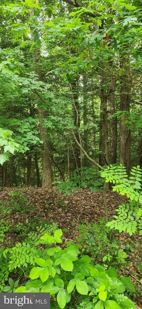 Lot 68 Traveler's Cir, Montross, VA 22520 - Image #1