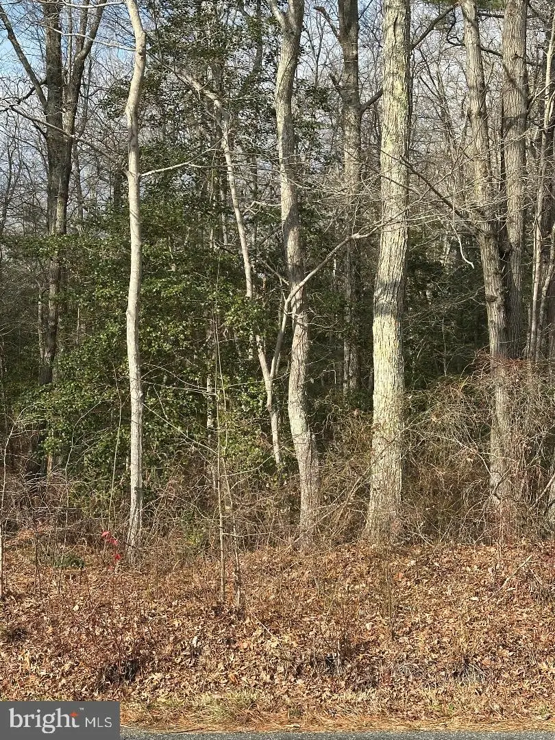 Lot 163a Erica Rd, Montross, VA 22520 - Image #3