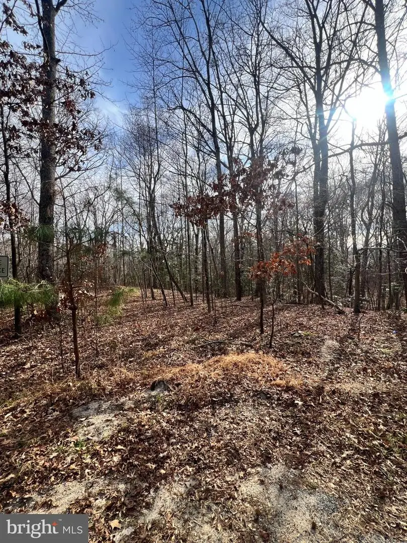 Kings Ct, Montross, VA 22520 - #2