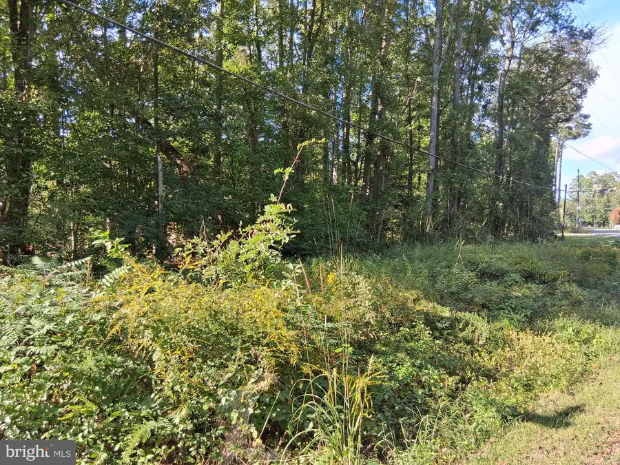 Lot 16 Fort King Dr, Colonial Beach, VA 22443 - #3
