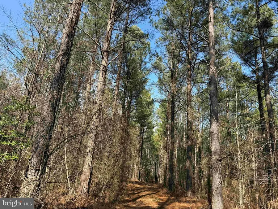 Cedar Field Road (tract: Tanager Et2-2003), Warsaw, VA 22572 - #3