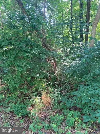 Lot 215 Bay Pointe Dr, Montross, VA 22520 - #2