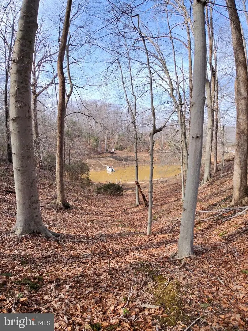 75 Eaglenest Dr, Montross, VA 22520 - #1