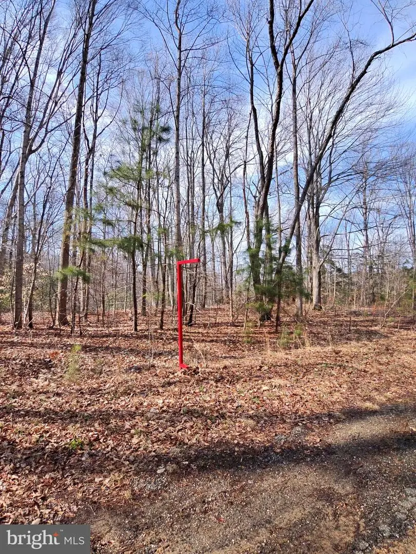 75 Eaglenest Dr, Montross, VA 22520 - #3