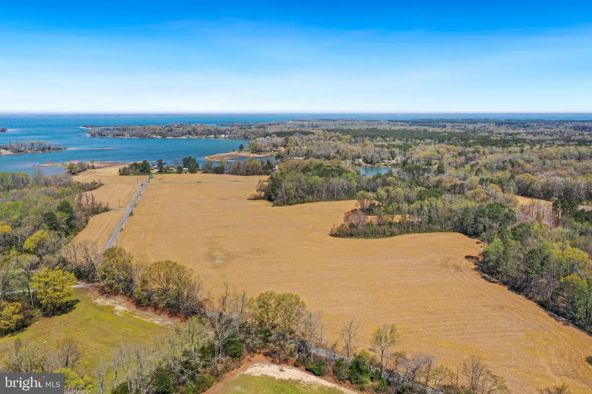 Mount Holly | Beales Wharf, Montross, VA 22520 - #1