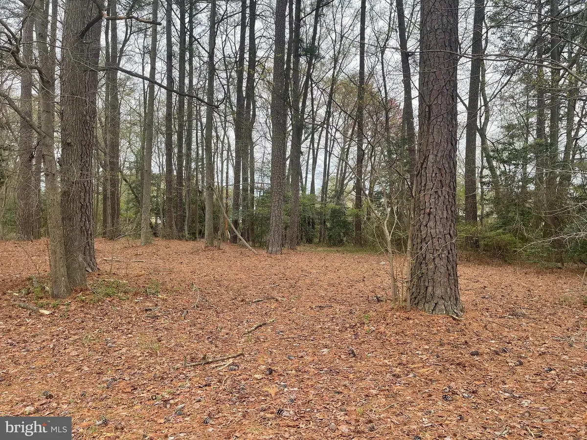 Lot 182 Weatherall Dr, Montross, VA 22520 - #1