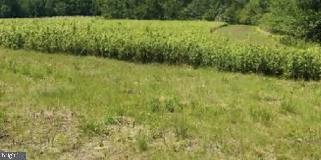 Lot 11 Kings Hwy, Montross, VA 22520 - #1