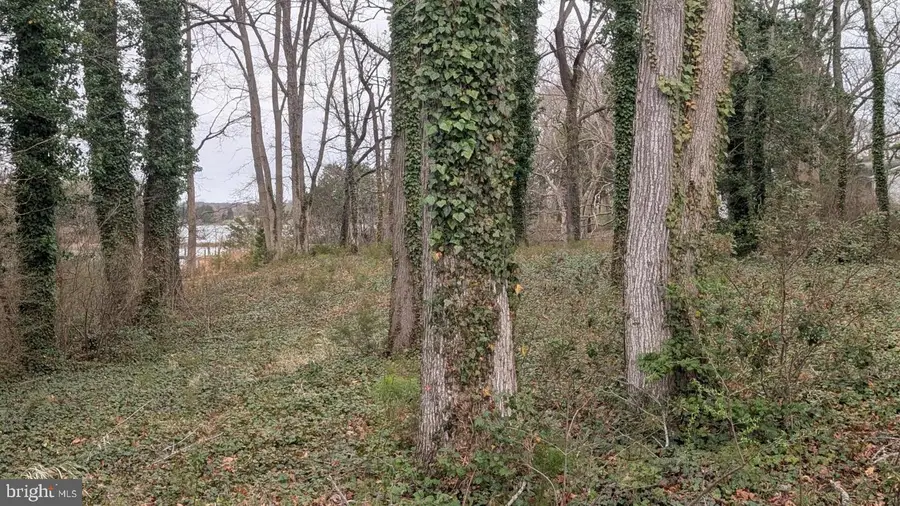 Lot 30y/30z Clubhouse Loop, Montross, VA 22520 - #2