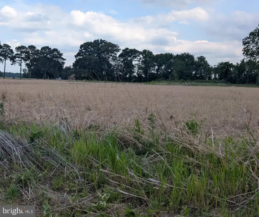 Lot 1 Zacata Rd, Montross, VA 22520 - #2