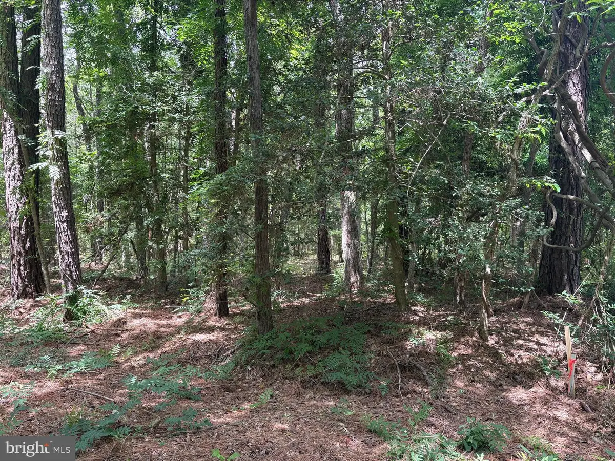 Lot 27 Stotsylvania Road, Hague, VA 22469 - #1
