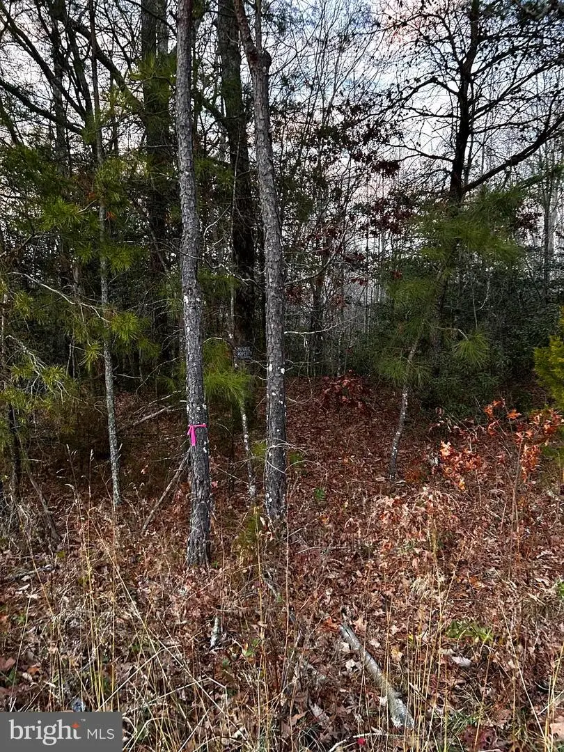 0 Pratts Place, Montross, VA 22520 - #3