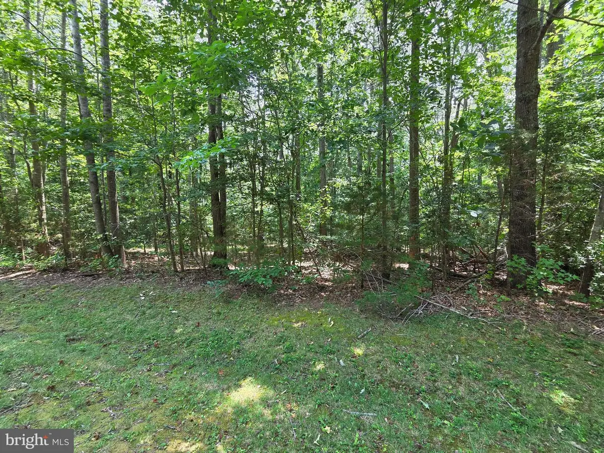 Lot 26 Greenpoint Landing Road, Montross, VA 22520 - #1