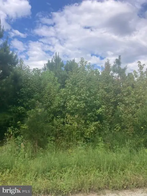 1199 Kelly Rd, Kinsale, VA 22488 - #3