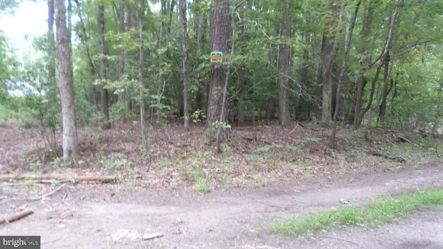 Lot 28 Lilly Way, Colonial Beach, VA 22443 - #2