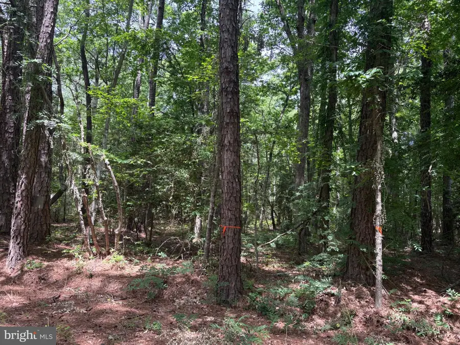 Lot 27 & 28 Stotsylvania Dr, Hague, VA 22469 - #2
