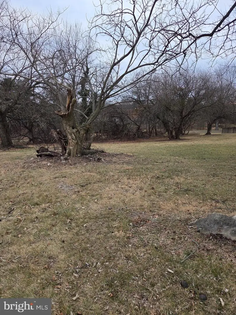 1001 Whittier Ave, Winchester, VA 22601 - Image #1