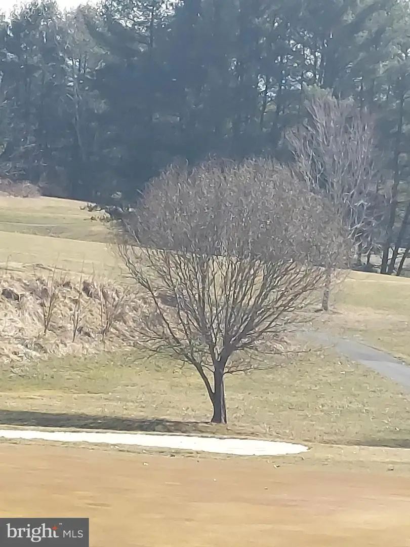 0 Bowling Green Road, Front Royal, VA 22630 - Image #3