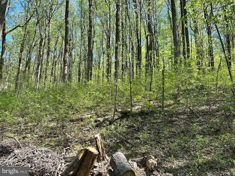 Reid Dr, Front Royal, VA 22630 - Image #3