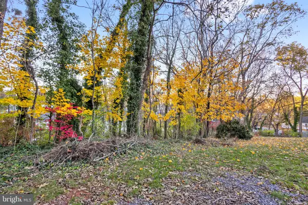 0 Orchard St #lot 1, FRONT ROYAL, VA 22630
