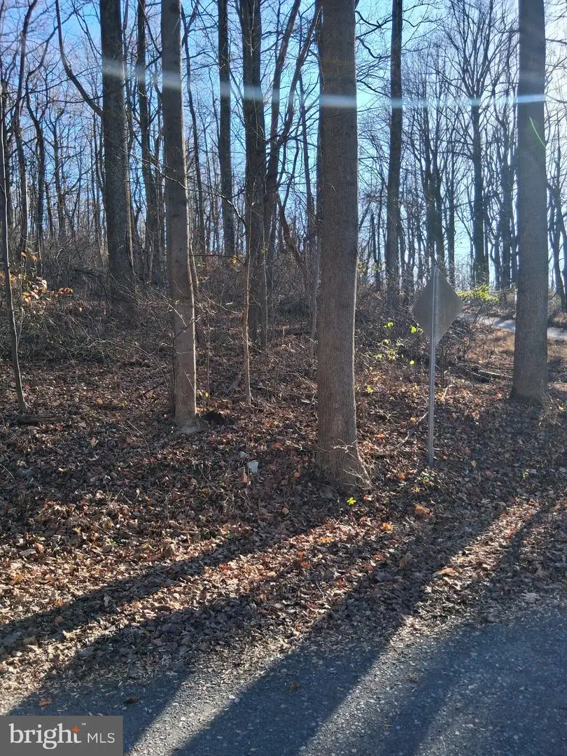 Reid Dr, Front Royal, VA 22630 - Image #2