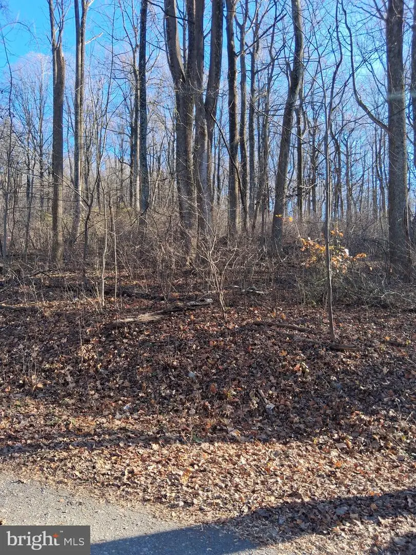 Reid Dr, Front Royal, VA 22630 - Image #3