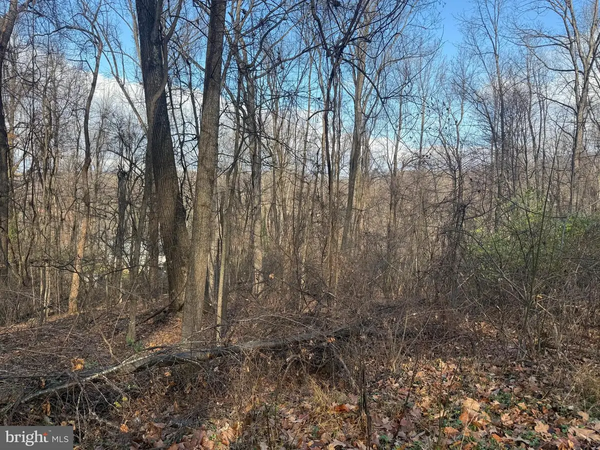 Lot 22 Hickory Tree Rd, Front Royal, VA 22630 - Image #1