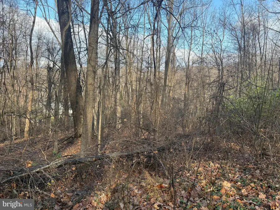Lot 22 Hickory Tree Rd, Front Royal, VA 22630 - Image #2