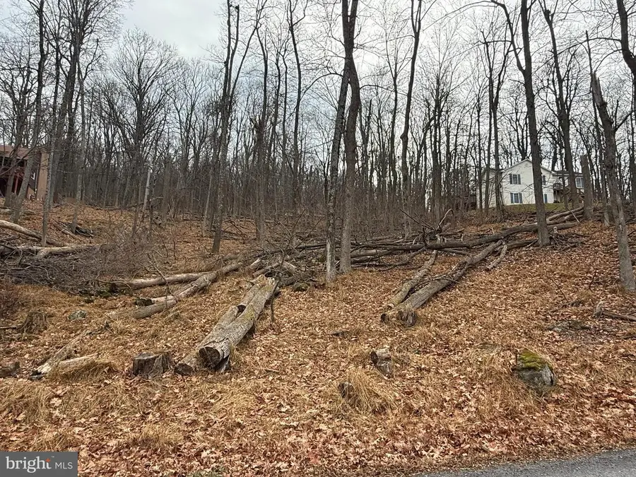 Lot 5 Deer Trail Rd, Front Royal, VA 22630 - Image #2