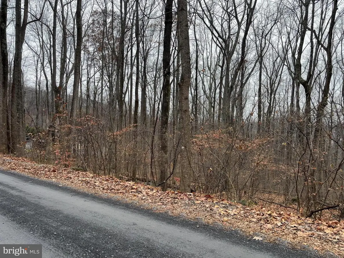 L12 Apple Mountain Lk S, Linden, VA 22642 - Image #1