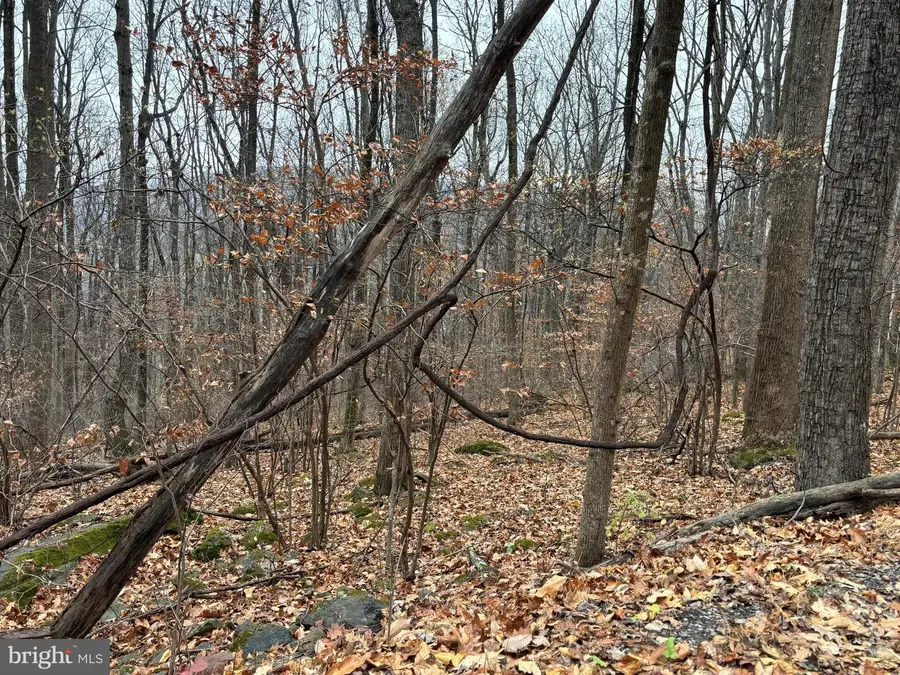 L12 Apple Mountain Lk S, Linden, VA 22642 - Image #3