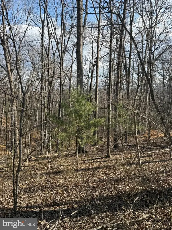 Arrowhead Rd, FRONT ROYAL, VA 22630