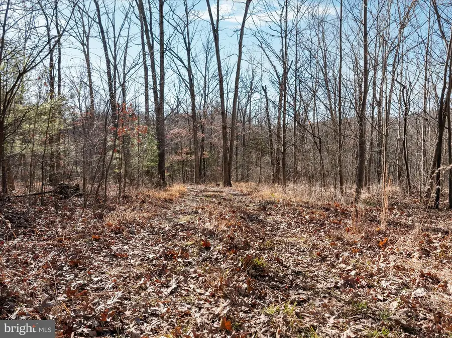 Catron Ridge Road, Bentonville, VA 22610 - Image #3