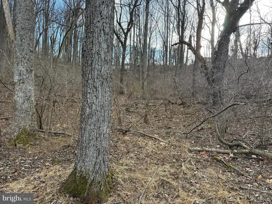 83a Oriole Ct, Front Royal, VA 22630 - #2