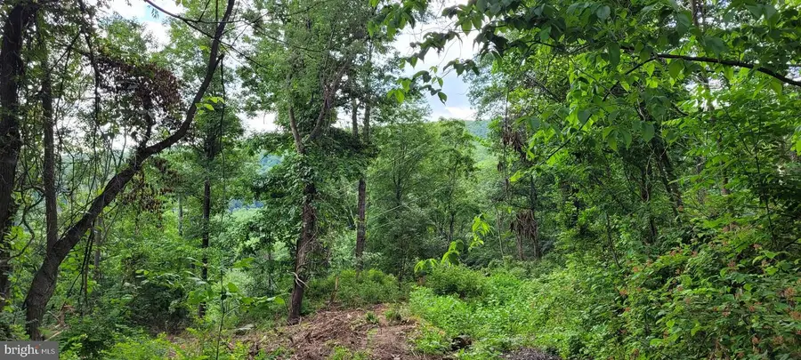 Kits Ct, Front Royal, VA 22630 - Image #3