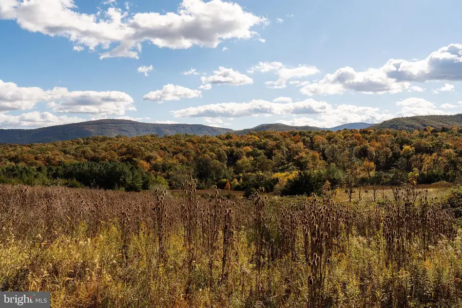 461 Thunderbird Rd, Bentonville, VA 22610 - Image #3