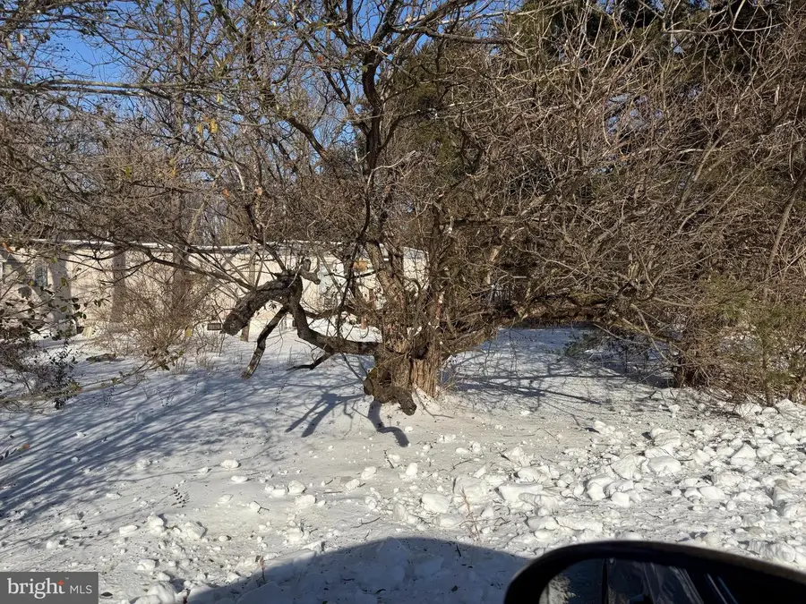 389 Fellows Dr, Front Royal, VA 22630 - Image #3