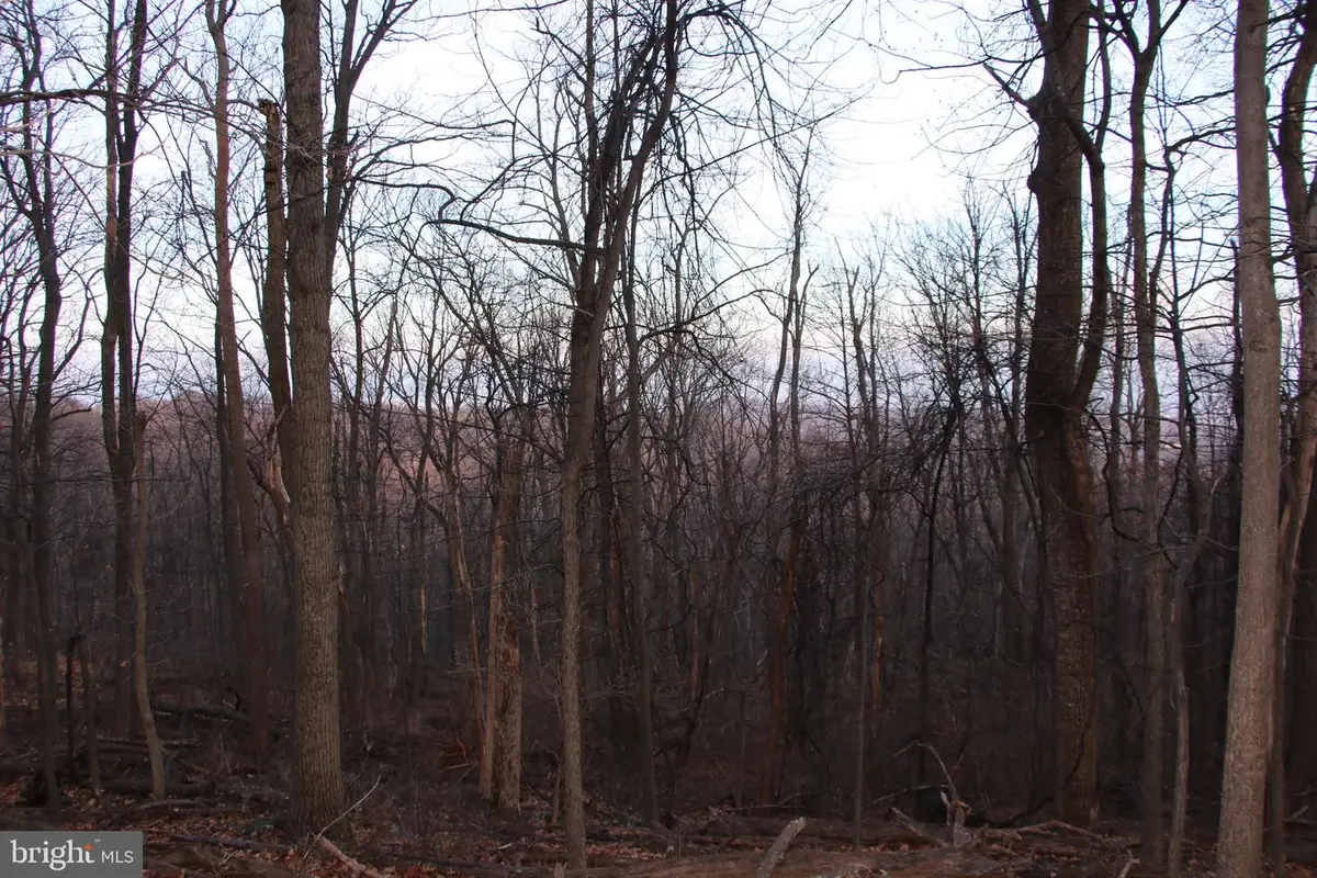 Windy Way, Front Royal, VA 22630 - #1