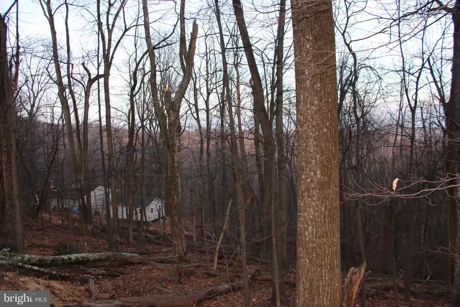 Windy Way, Front Royal, VA 22630 - #3