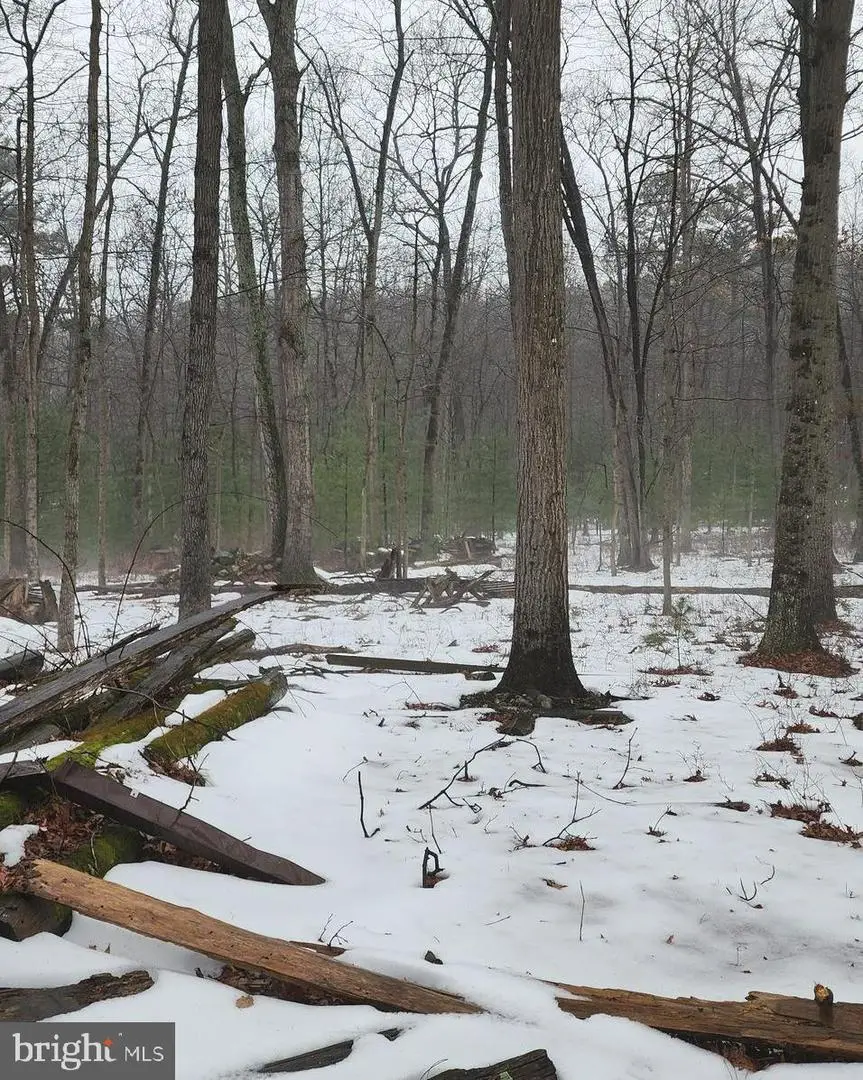 0 Dogwood Ln, Bentonville, VA 22610 - #3