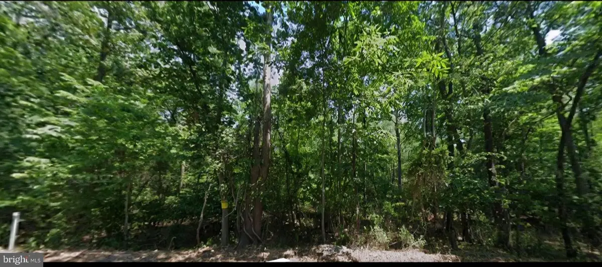 0 Stoney Bottom Rd, Front Royal, VA 22630 - #1