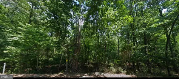 0 Stoney Bottom Rd, FRONT ROYAL, VA 22630