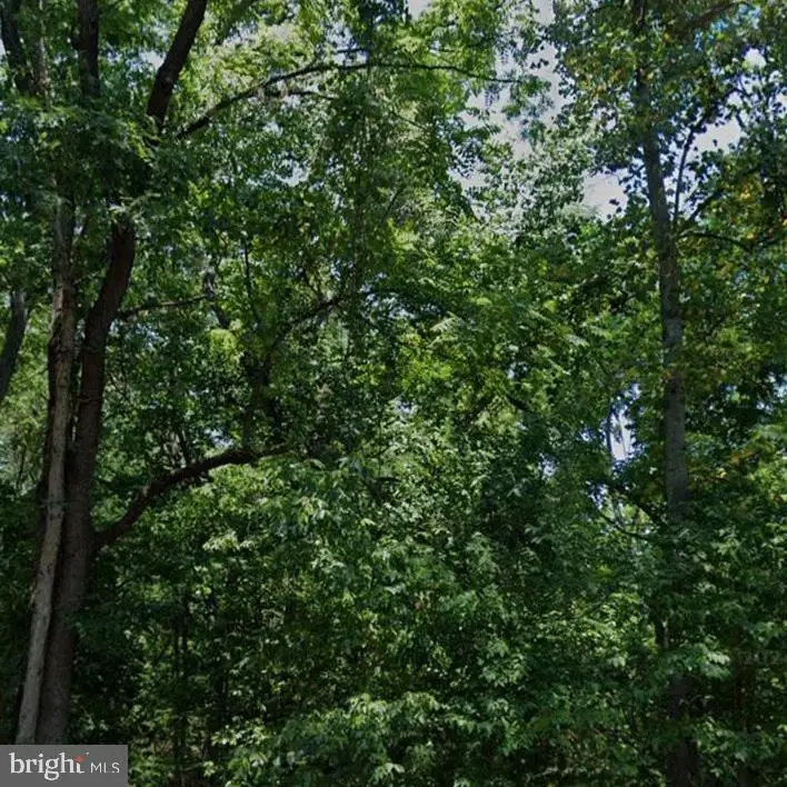 0 Stoney Bottom Rd, Front Royal, VA 22630 - #2