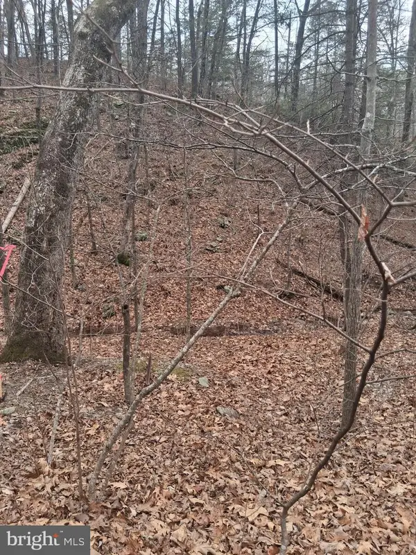 Vesey Dr, FRONT ROYAL, VA 22630