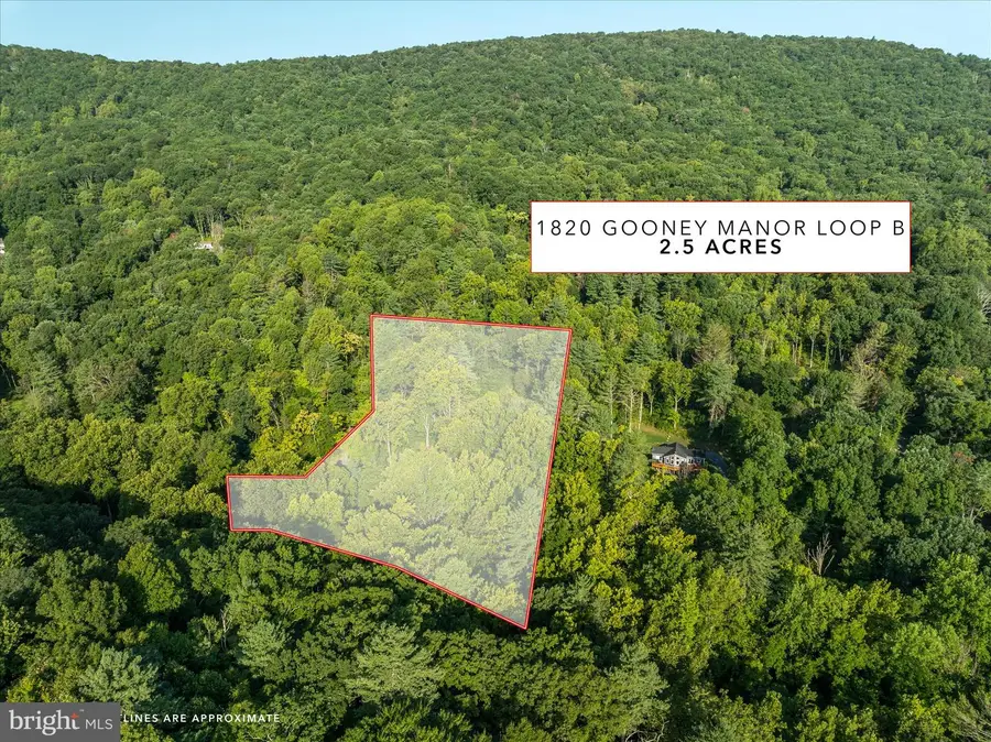 A4 Gooney Manor Loop, Bentonville, VA 22610 - #2