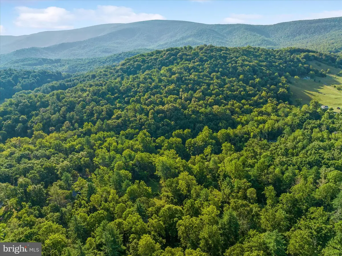 49a4 Gooney Manor Loop, Bentonville, VA 22610 - #1