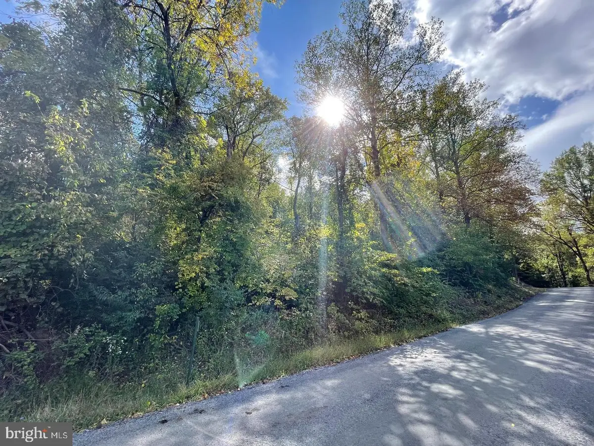 Venus Branch #lot 145, Front Royal, VA 22630 - #1